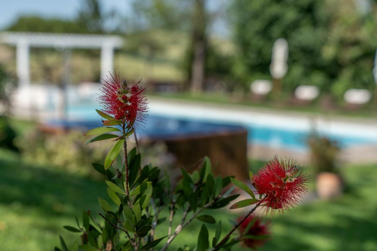 Le Maracla Country House Iesi Exteriér fotografie